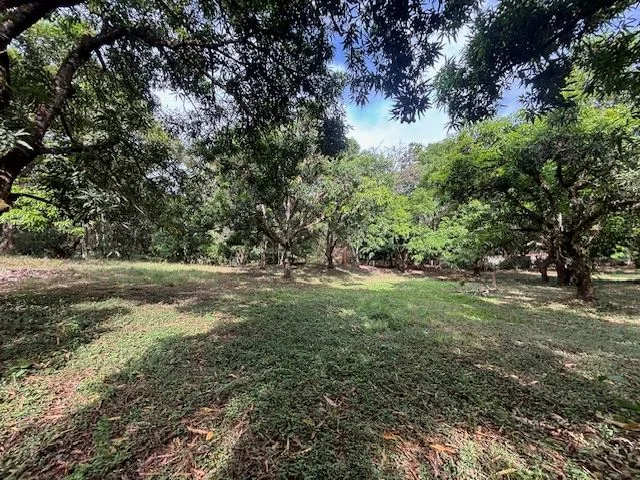 Picturesque property is located in the ideal residential setting