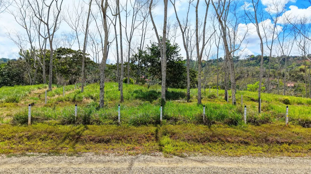 For Sale: One of 3 Premium Lots in Santa Rosa, Perez Zeledon – Don’t Miss Out