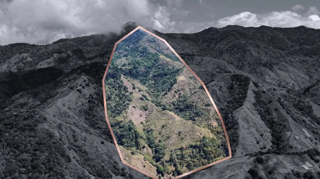Herradura Farm for Sale: 100.6 -Hectare (248.6 ac) Water and Forest Reserve in Chirripó — photo 2