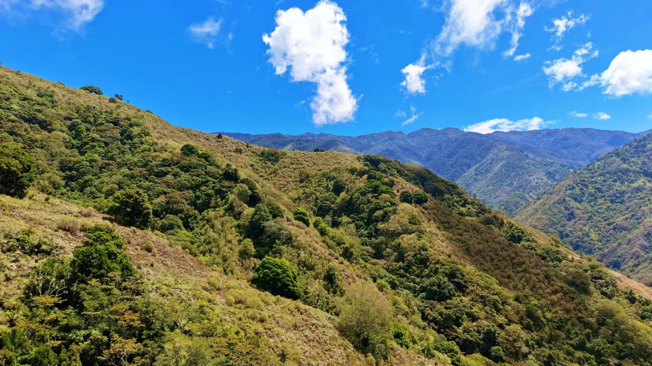 Herradura Farm for Sale: 100.6 -Hectare (248.6 ac) Water and Forest Reserve in Chirripó — photo 3