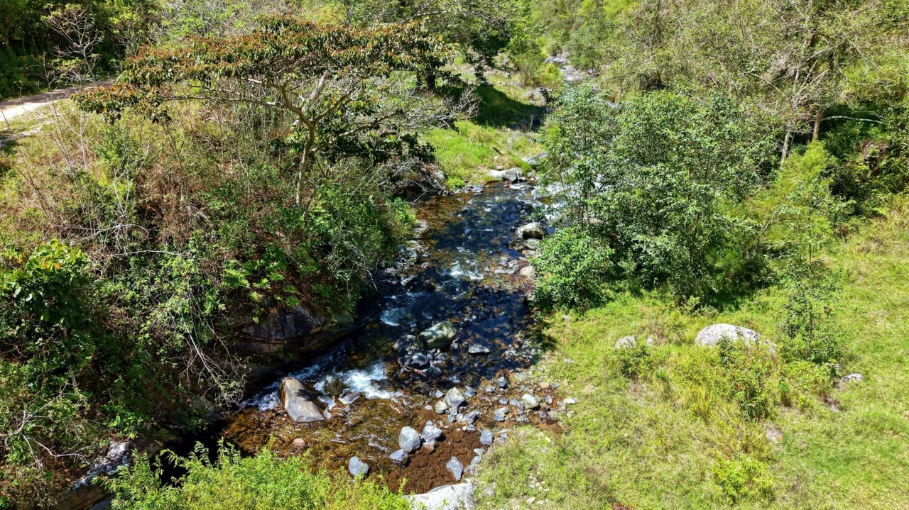 Herradura Farm for Sale: 100.6 -Hectare (248.6 ac) Water and Forest Reserve in Chirripó — photo 4