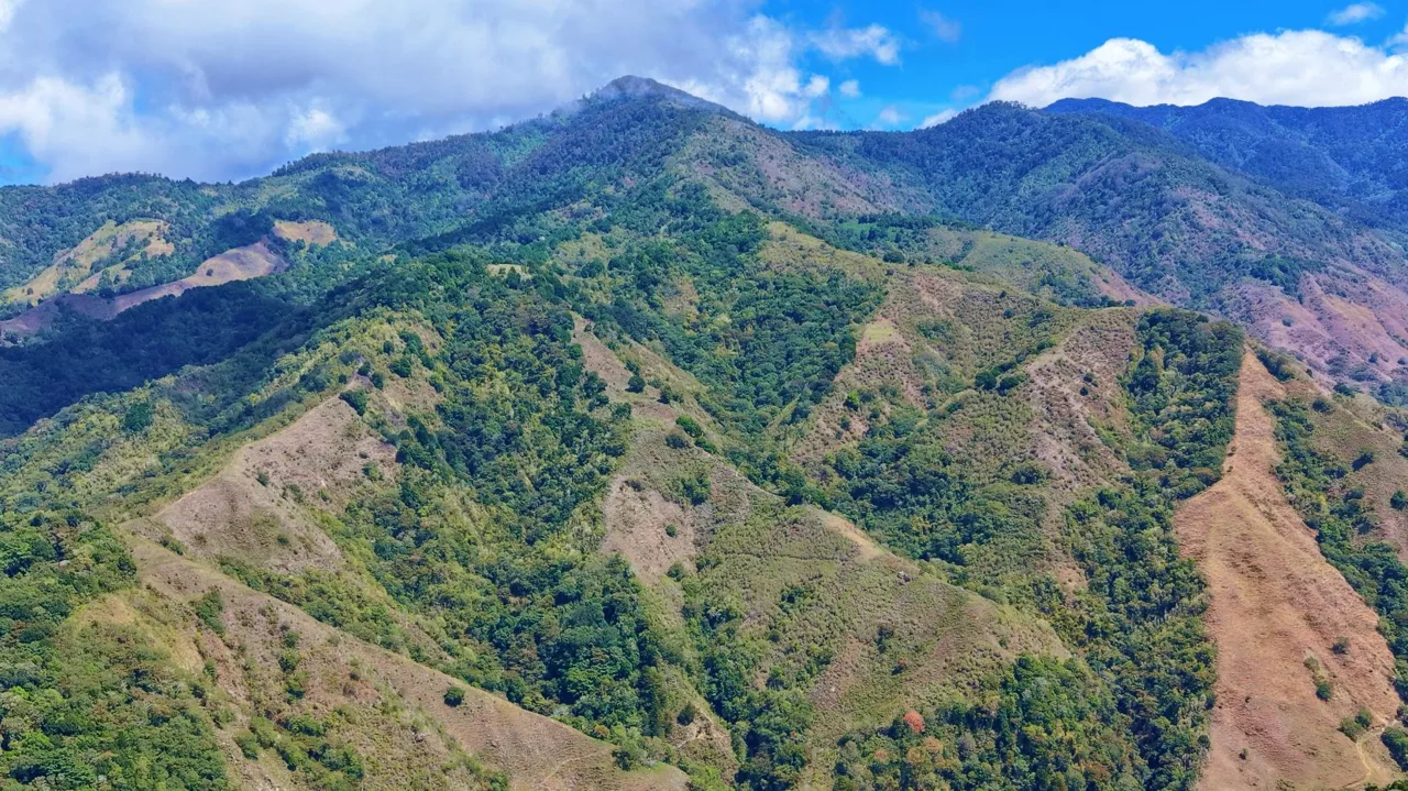 Herradura Farm for Sale: 100.6 -Hectare (248.6 ac) Water and Forest Reserve in Chirripó — photo 5
