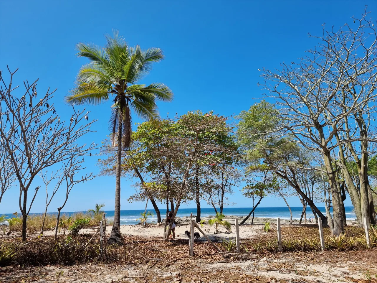 Exclusive Boutique Hotel Development Ocean Front Property