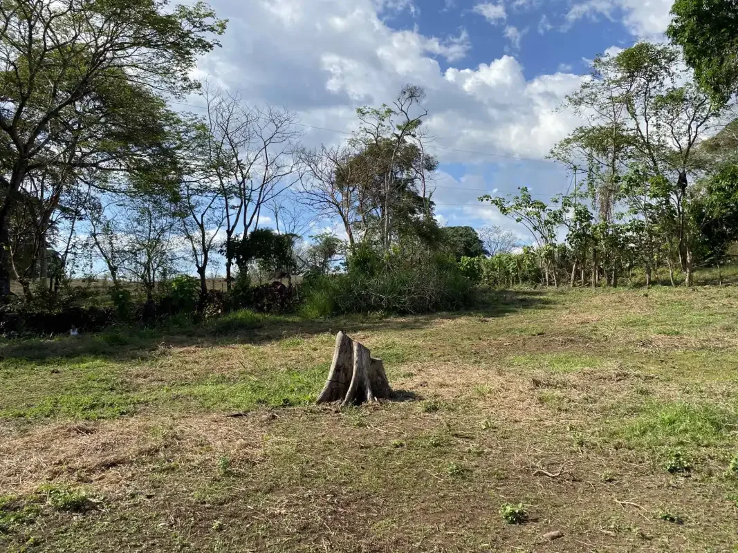 Prime Development Land for Sale in San Mateo