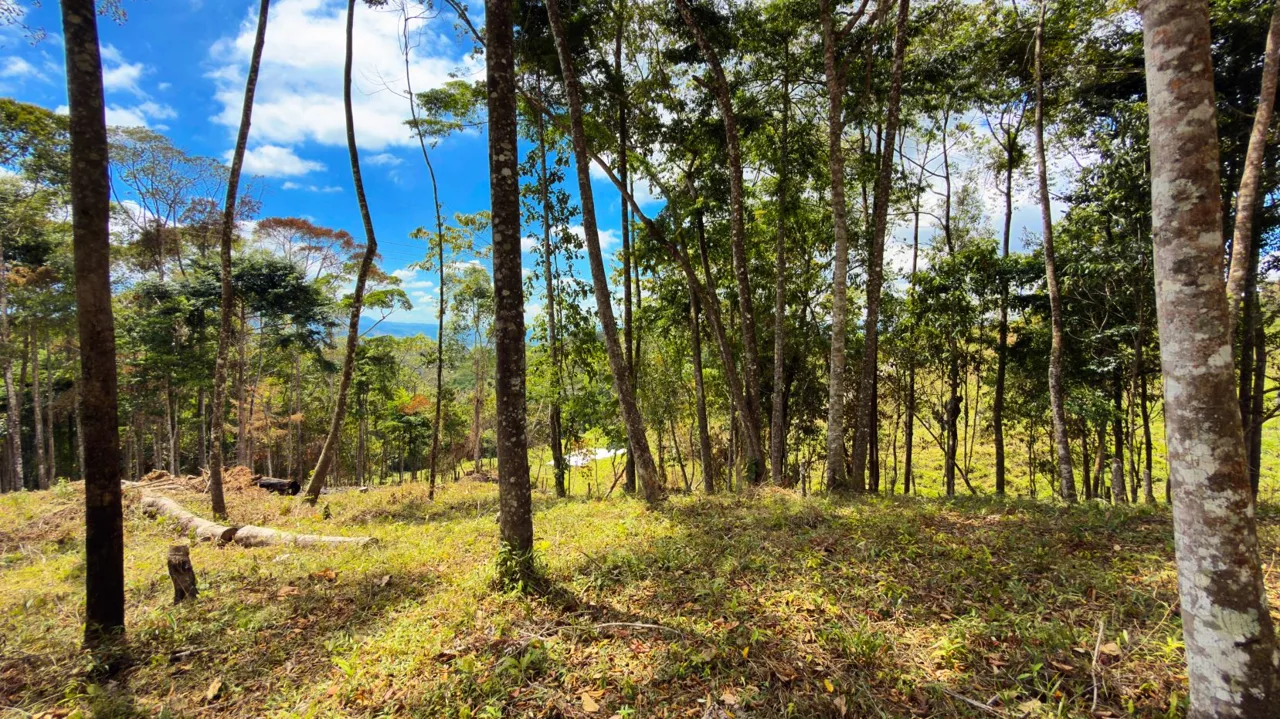 For Sale: Beautiful Mountain 781m2 Residential Lot in Quebradas - CR — photo 2