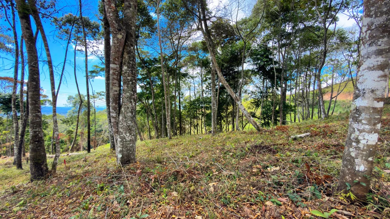 For Sale: Beautiful Mountain 781m2 Residential Lot in Quebradas - CR — photo 4