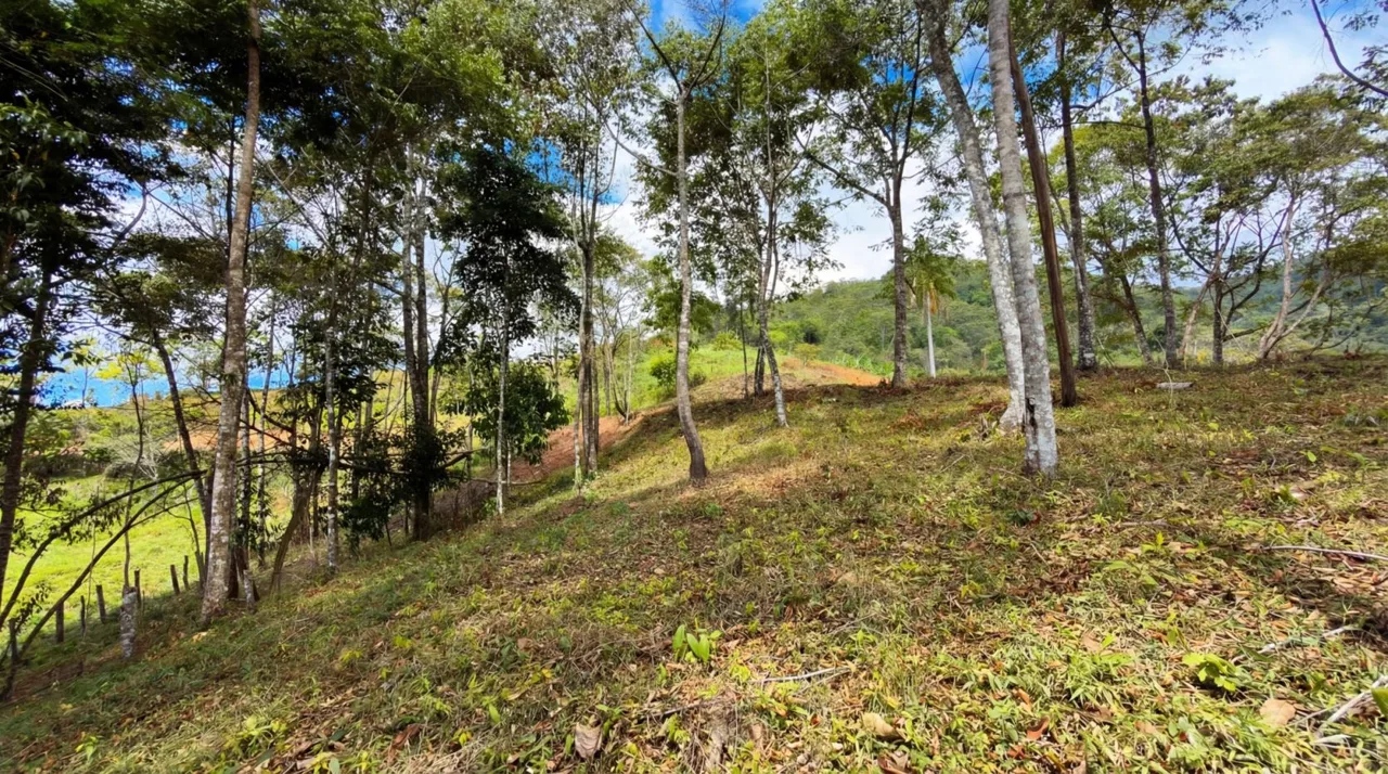For Sale: Beautiful Mountain 781m2 Residential Lot in Quebradas - CR — photo 5