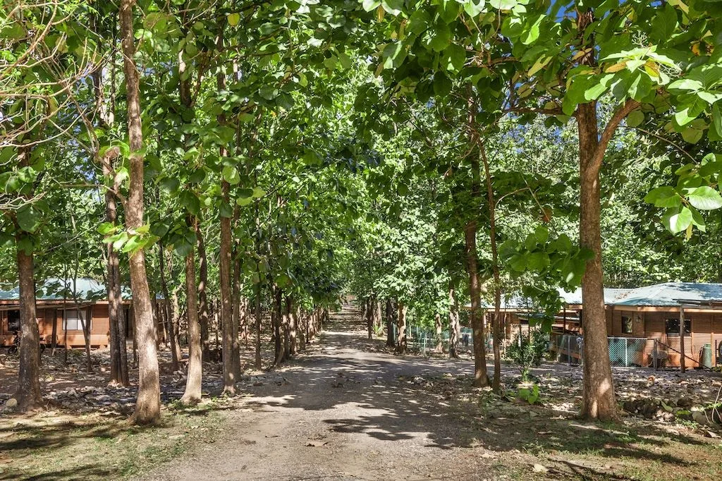 Avellanas Secrets ~ Natural Sanctuary — photo 2