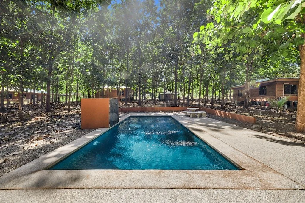Avellanas Secrets ~ Natural Sanctuary — photo 4
