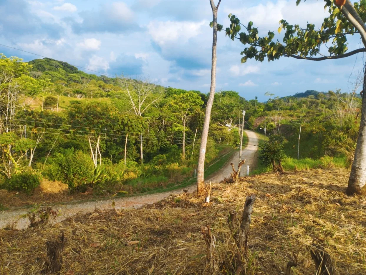 Spacious Residential Lot in Chontales Ideal for Building.