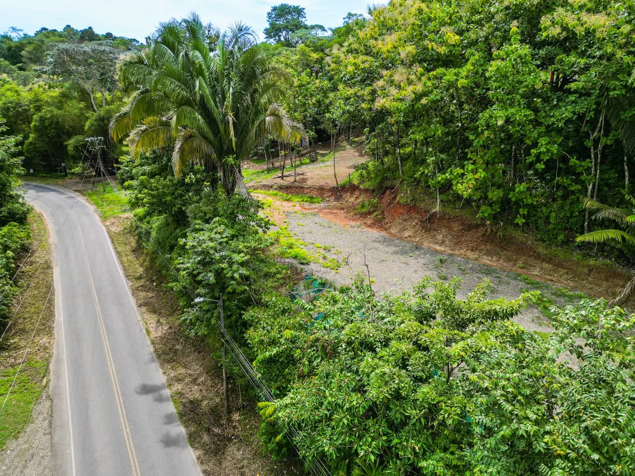 Rare Gem: 1,572 m² of Prime Potential Near Quepos &amp; Manuel Antonio