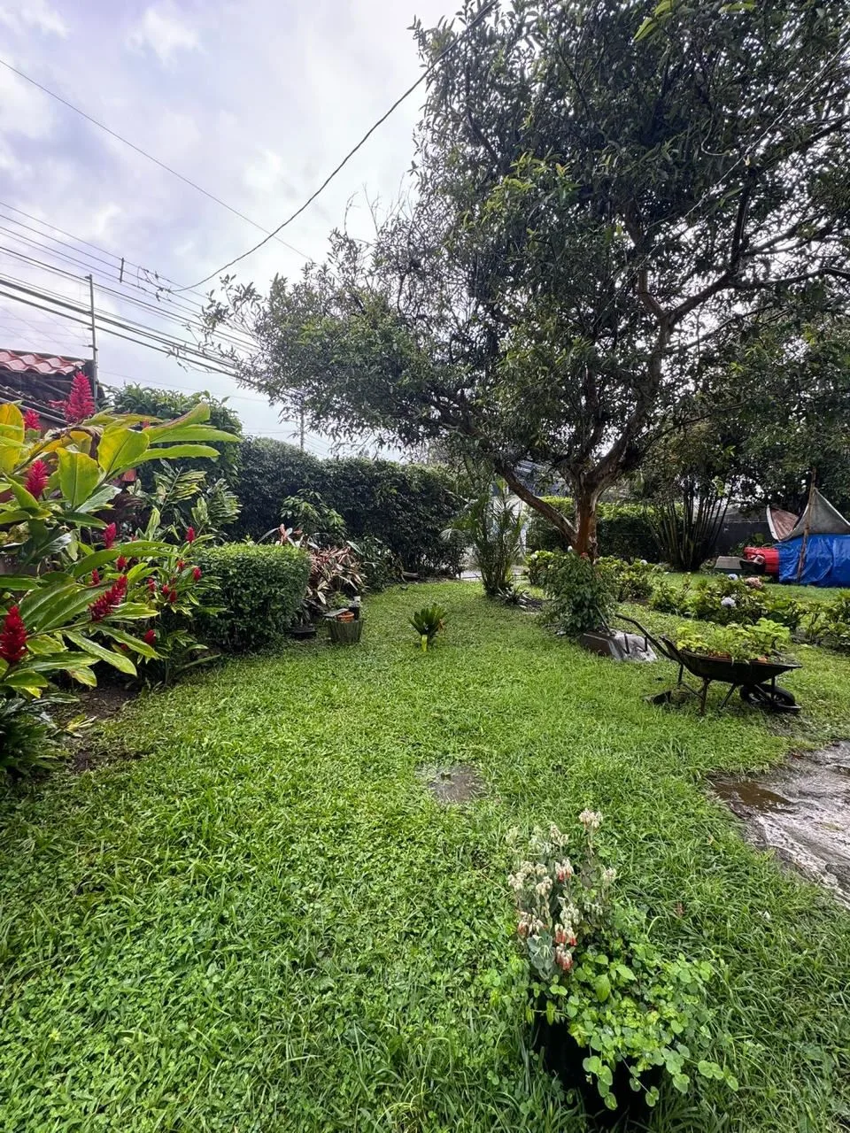 Opportunity in Paracito, Santo Domingo: 3,426 m² Lot with House
