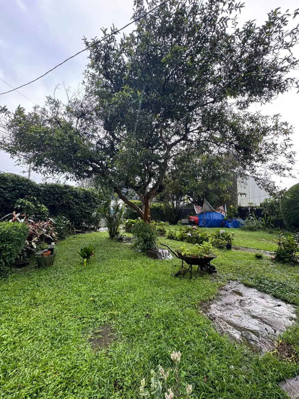 Opportunity in Paracito, Santo Domingo: 3,426 m² Lot with House — photo 2