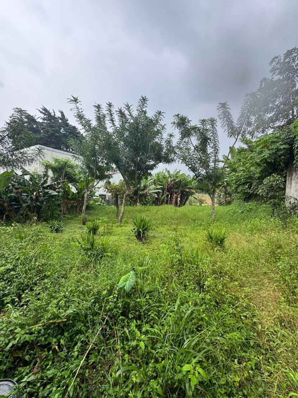 Opportunity in Paracito, Santo Domingo: 3,426 m² Lot with House — photo 4