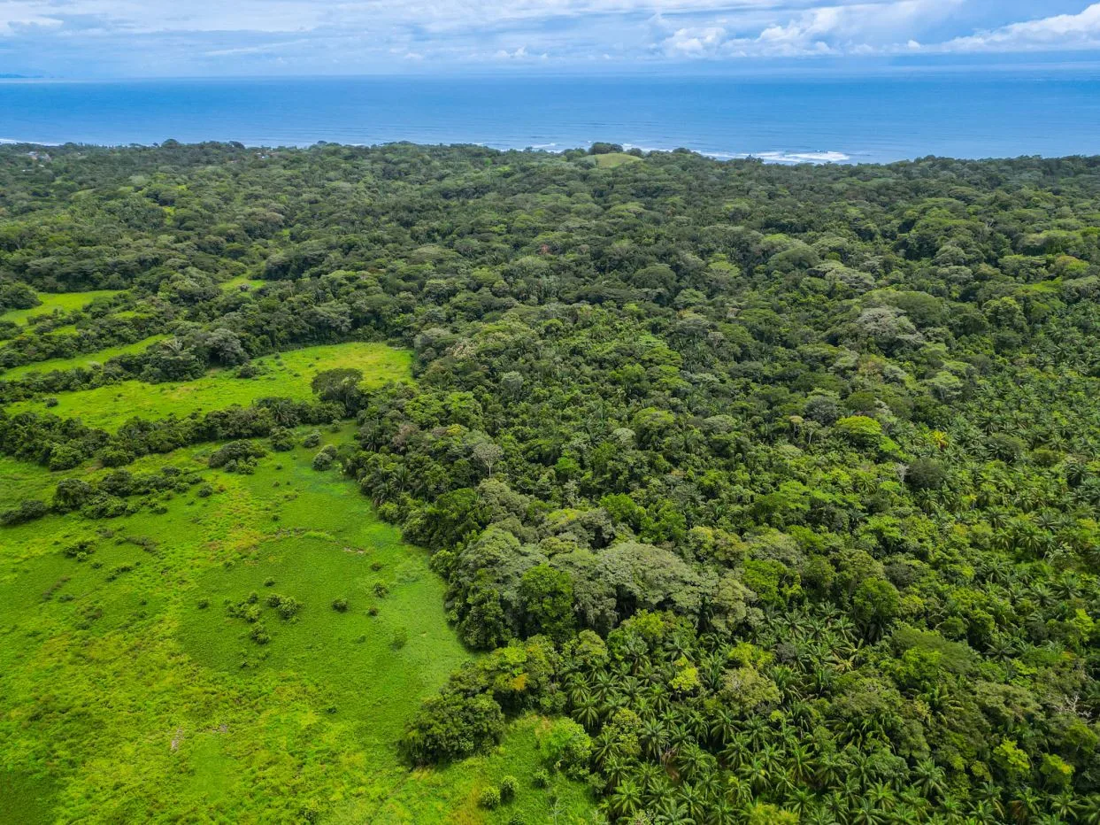 Great Investment Opportunity - 25 Hectares of Lot next to Esterillos Beach (Seller Financing)