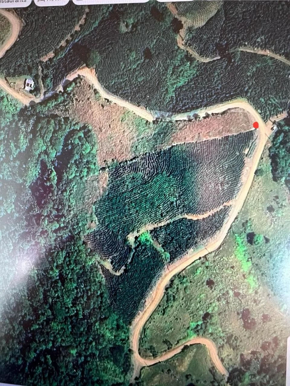 Coffee Land for Sale – San Lorenzo, León Cortés