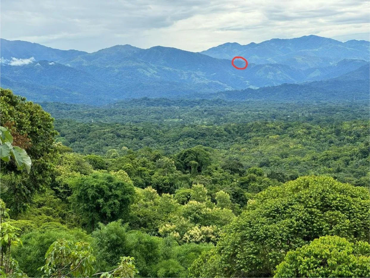 Coffee Land for Sale – San Lorenzo, León Cortés — photo 2