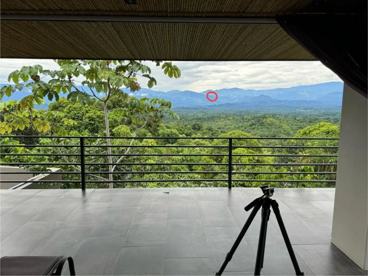 Coffee Land for Sale – San Lorenzo, León Cortés — photo 5