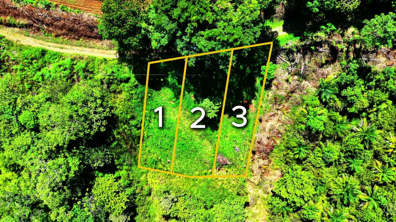 258 m² Lot for Sale in Tres Rios, Perez Zeledon – Stunning Views, Perfect for Airbnb or Cabin — photo 2