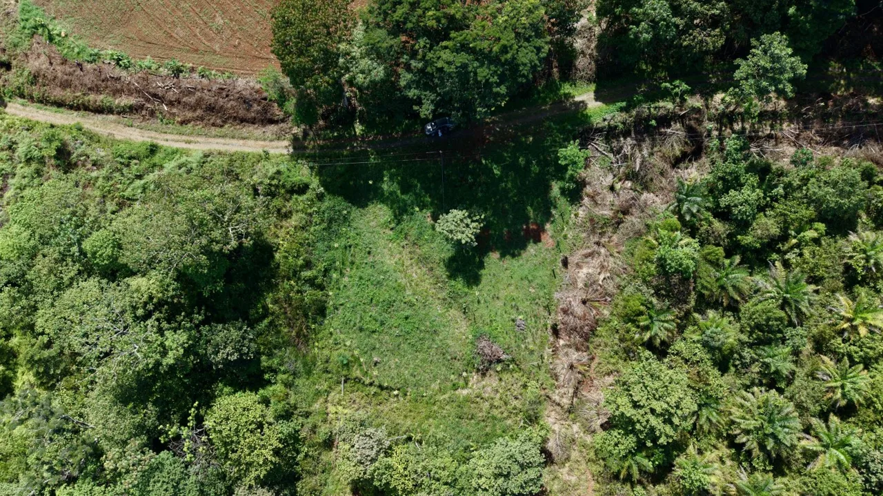 258 m² Lot for Sale in Tres Rios, Perez Zeledon – Stunning Views, Perfect for Airbnb or Cabin — photo 3