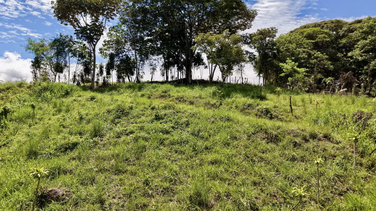 258 m² Lot for Sale in Tres Rios, Perez Zeledon – Stunning Views, Perfect for Airbnb or Cabin — photo 4