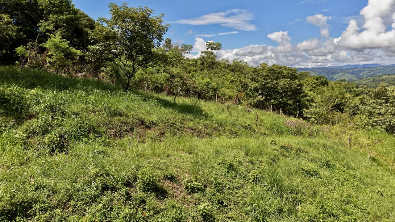 258 m² Lot for Sale in Tres Rios, Perez Zeledon – Stunning Views, Perfect for Airbnb or Cabin — photo 5