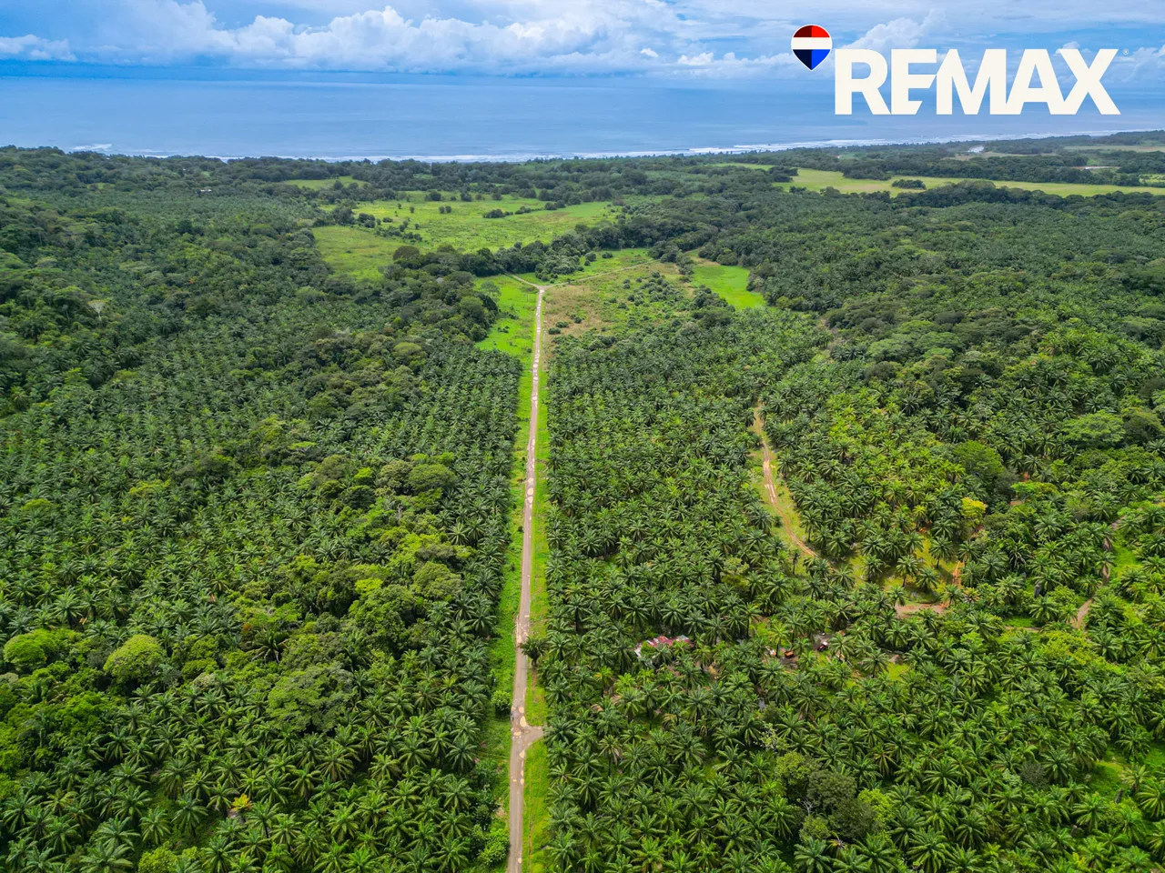 Great Investment Opportunity – 25 Hectares of Lot next to Esterillos Beach (Seller Financing)