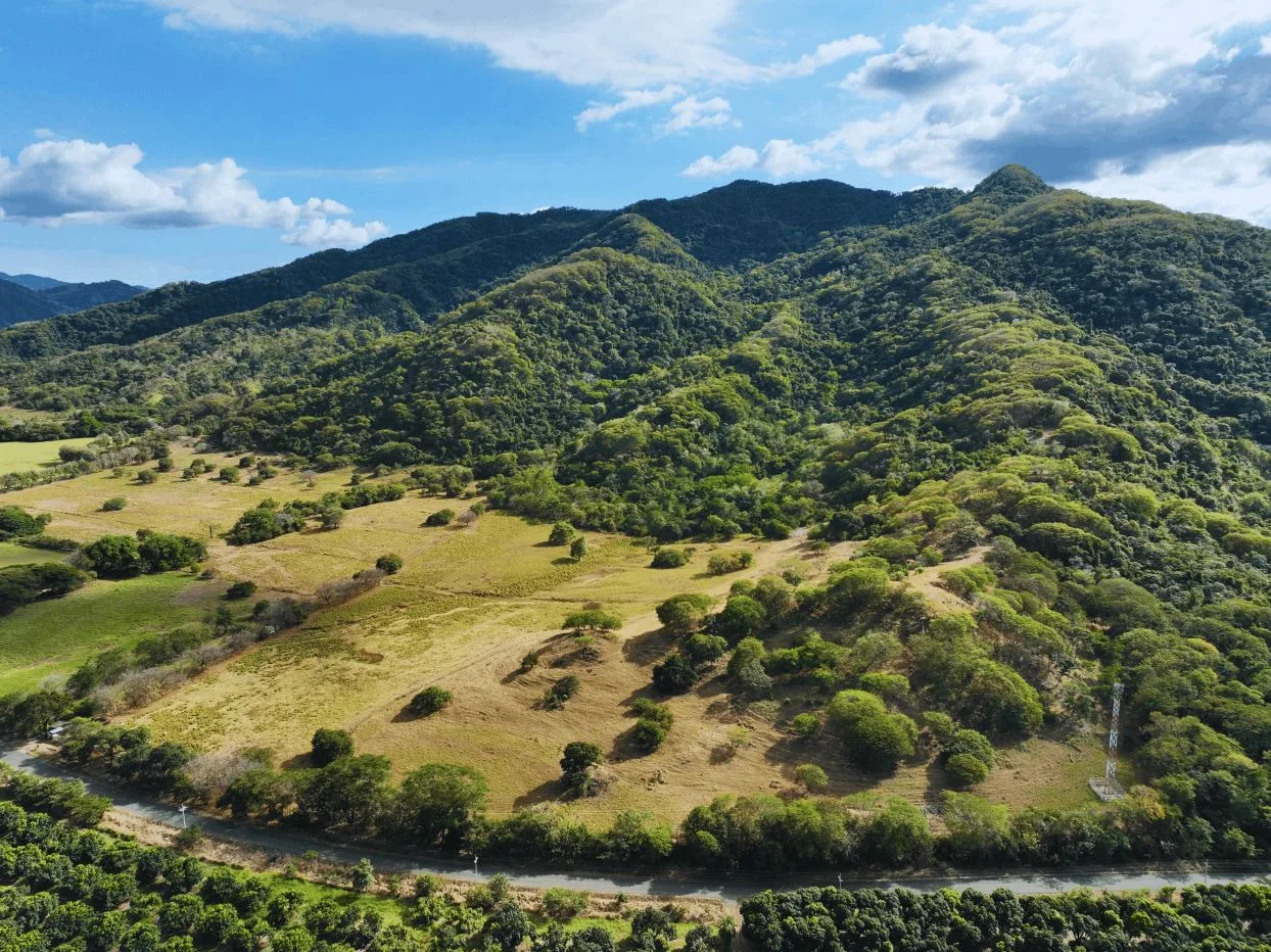 163.59 Hectare Agricultural Farm with Well, Ocean Views &amp; Protected Forest