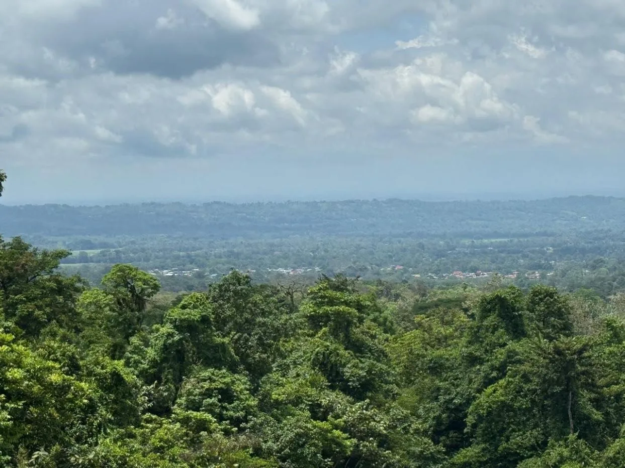 Prime Lot in La Fortuna – Steps from La Fortuna Waterfall with views of the volcano