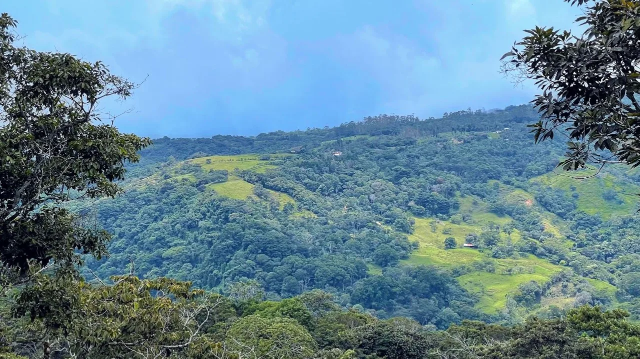 LOT FOR SALE IN SAN PEDRO, SAN RAMON.