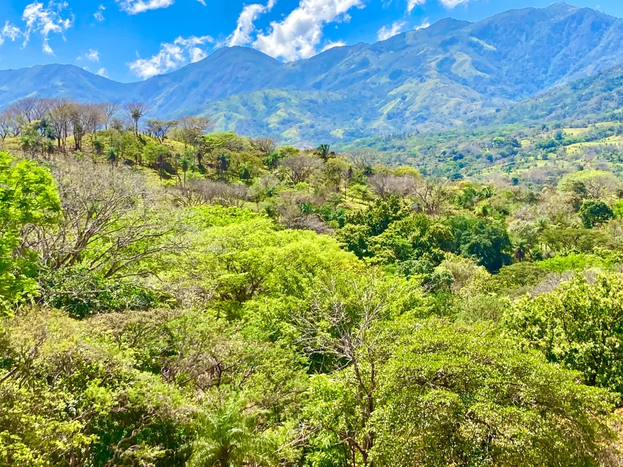 Beautiful Farm San Pedro Turrubares — photo 5