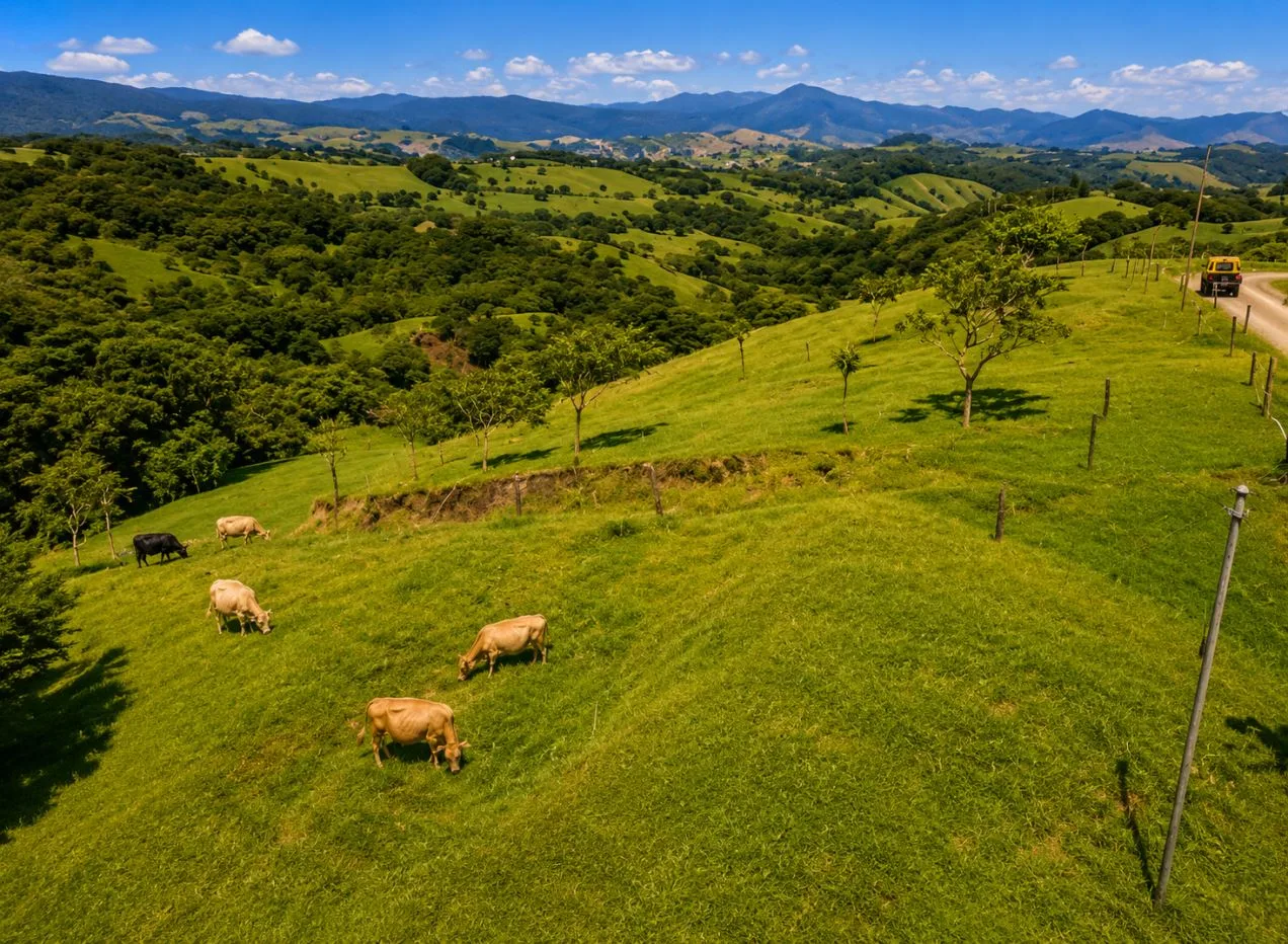 Cattle ranch near Lake Arenal