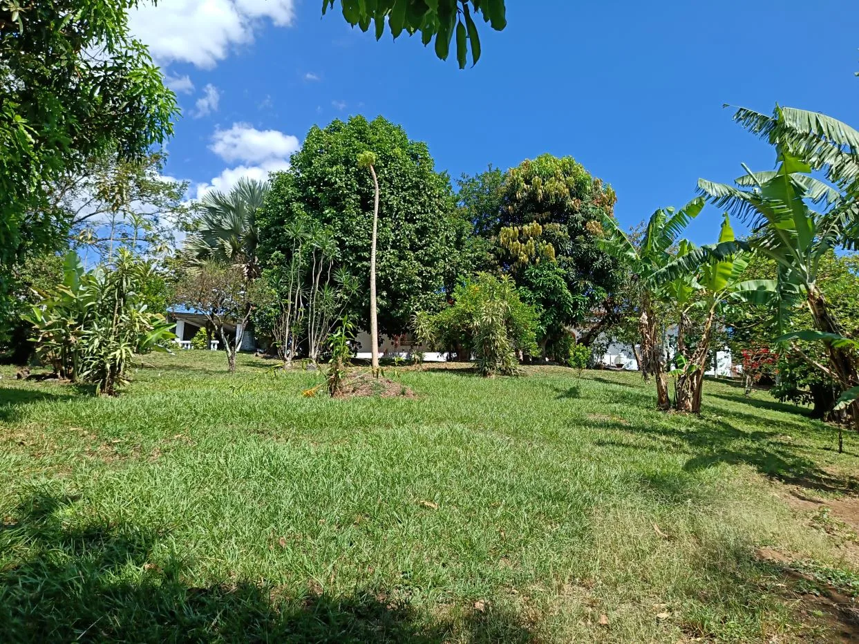 Property with House for sale, Sarchí.