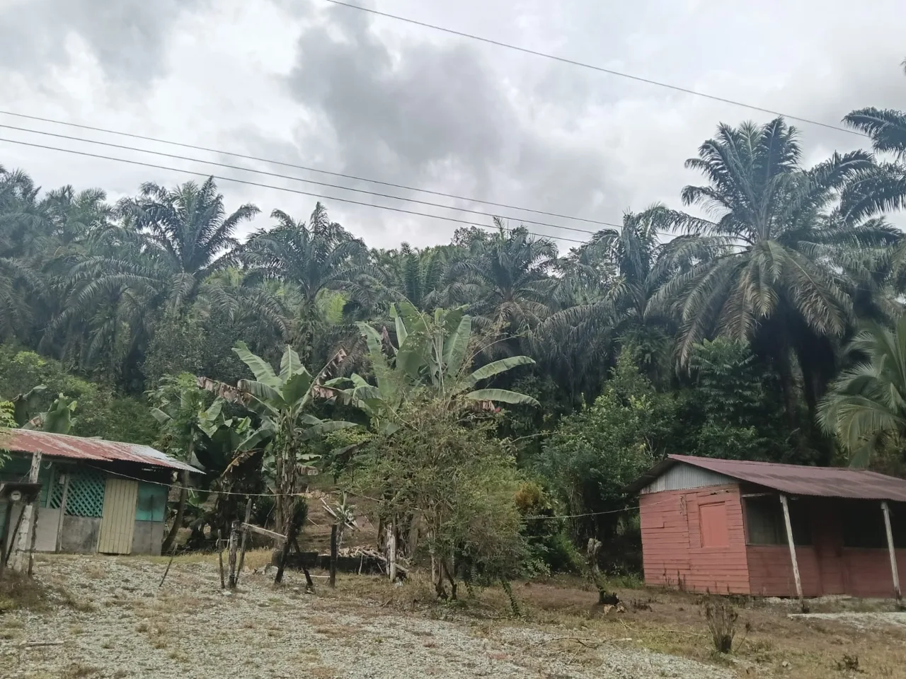 Opportunity Property: Expansive Farm with Mountain Views and Main Road Access in Las Viquillas, Golfito