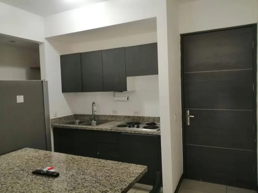 Modern Apartment with Excellent Location in San Pablo de Heredia — photo 2
