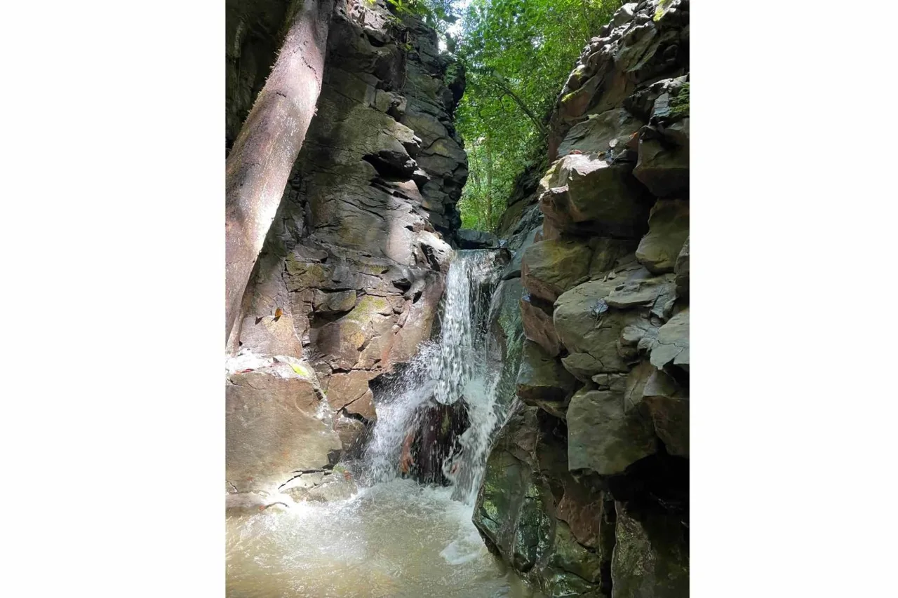 Riverfront Rainforest Property with 660 Acres of Jungle, Rivers, Waterfalls &amp; Timber near Chacarita &amp; the Osa Peninsula