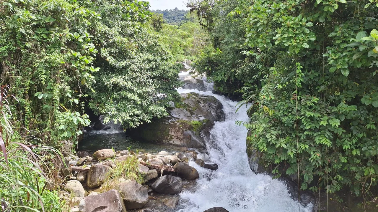 Unique 2,819 M² Lot for sale With Beautiful Cabin And Stunning River In Pérez Zeledón.
