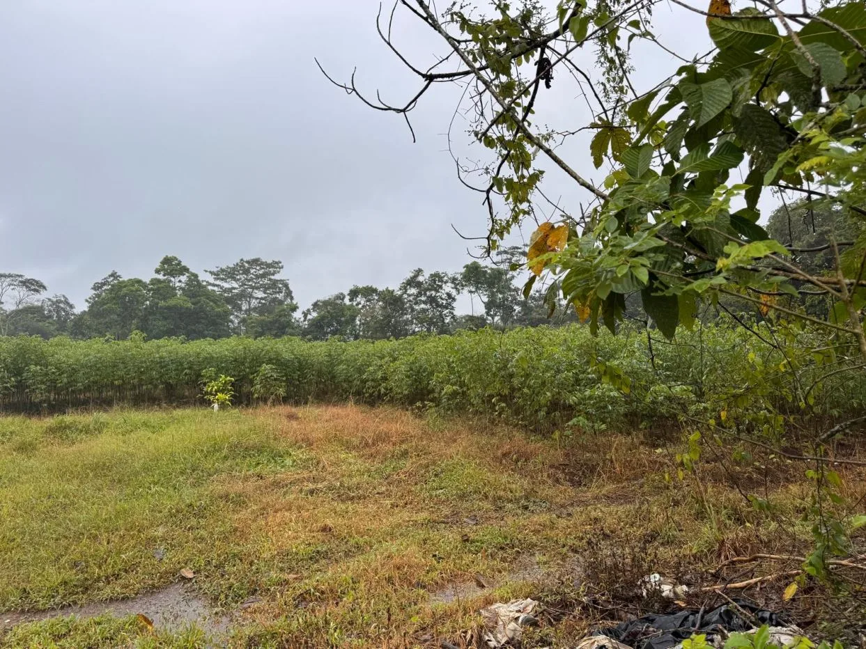 Beautiful 4.6 acres/18,540 M2 Land Santa Isabel-Rio Cuarto-development houses or Farm