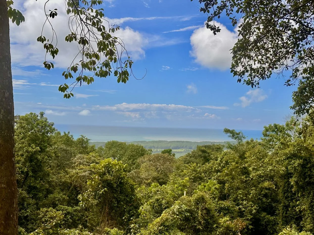 Hidden Gem with Spectacular Ocean Views in a Prime Location