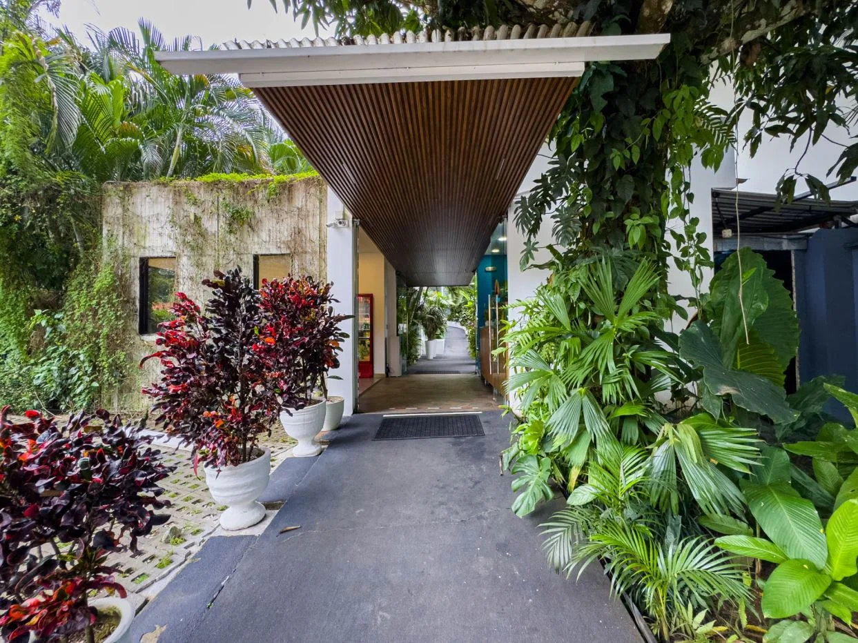 Tropical Treasure: Boutique Hotel Steps from Manuel Antonio National Park
