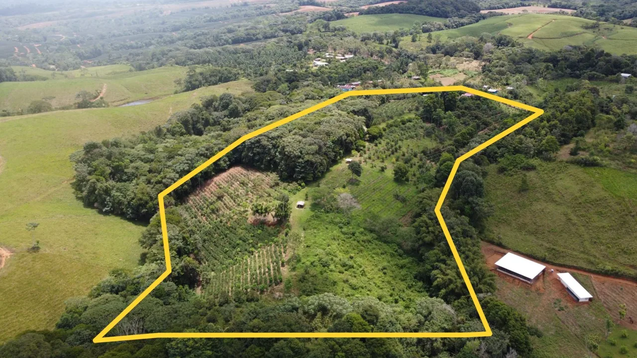 Exclusive Farm for sale with two beautiful Homes For Sale In The Heart Of Cajon, Perez Zeledon