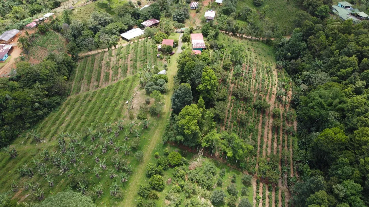 Exclusive Farm for sale with two beautiful Homes For Sale In The Heart Of Cajon, Perez Zeledon — photo 2