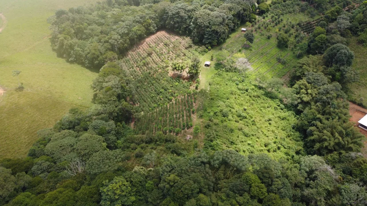 Exclusive Farm for sale with two beautiful Homes For Sale In The Heart Of Cajon, Perez Zeledon — photo 3