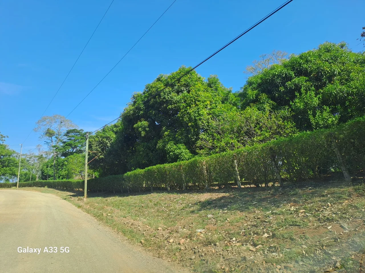 LOT WITH PANORAMIC OCEANVIEW – TARCOLES-PUNTARENAS
