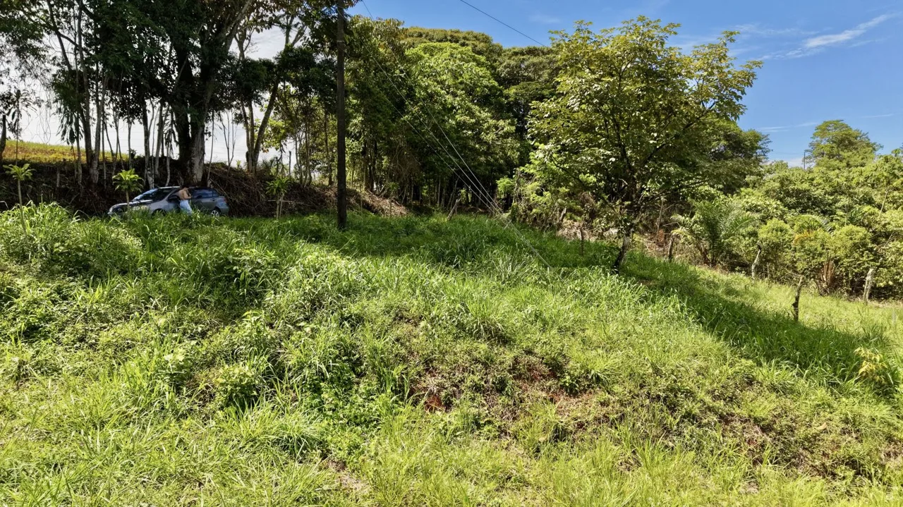 272 m² Lot for Sale in Tres Rios, Perez Zeledon – Stunning Views, Perfect for Airbnb or Cabin — photo 3