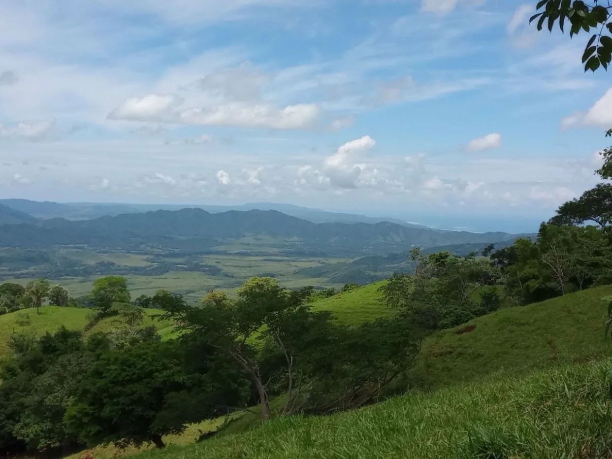 10ha (24-acre) Ocean View Farm with Fruit Trees – Nicoya Peninsula
