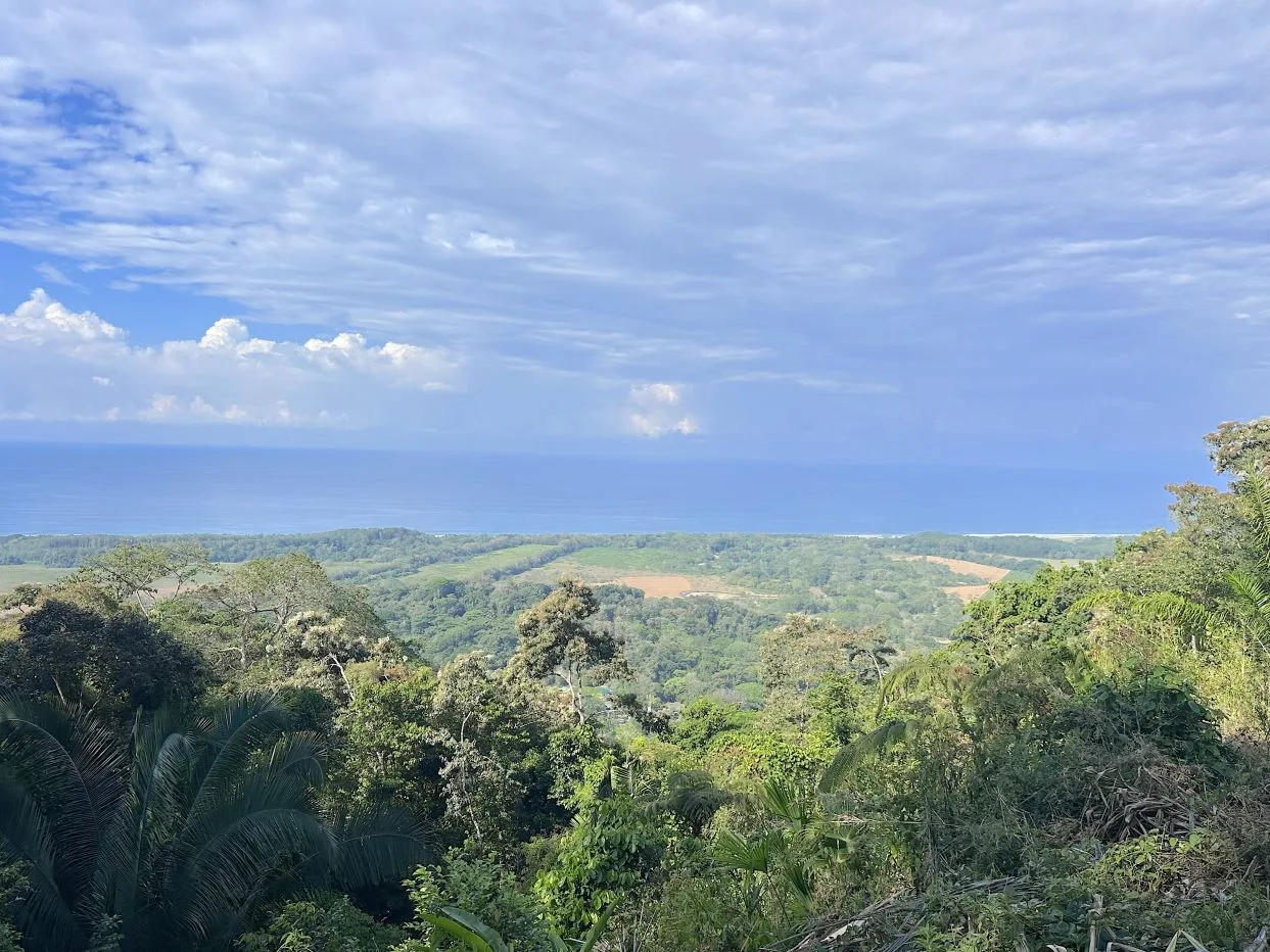 Eagle View Estate | Ocean View Land for Sale in Hatillo, Dominical