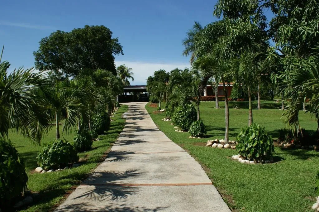 Unique Opportunity! 14 Hectare Farm with Fruit Trees and Cattle Ranching