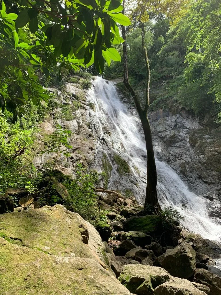 Waterfall Farm with River and Forest – 38 Hectares near Carmona, Nicoya Peninsula