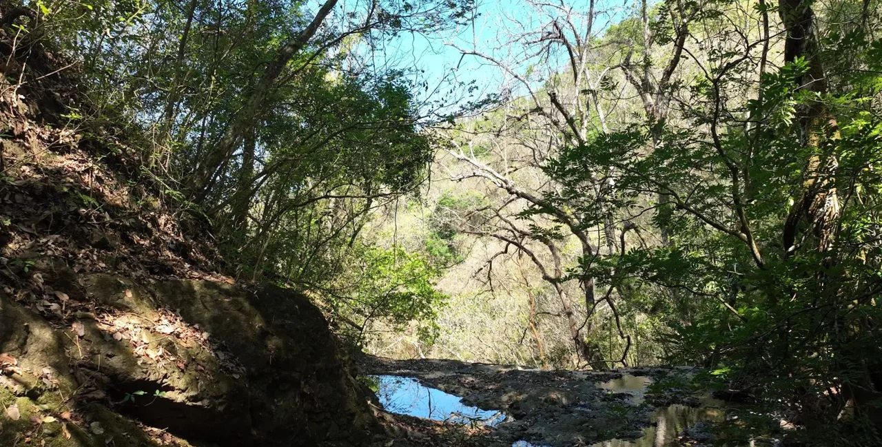 Expansive 41-Hectare Mountain Finca Near Hojancha